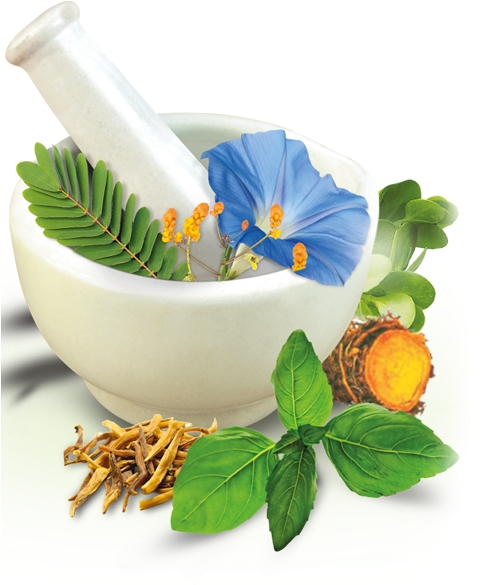 Premium Herbal Products