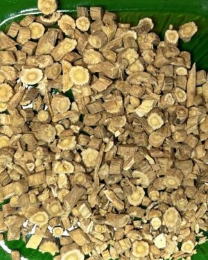 Astragalus