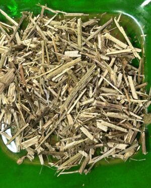 Blue vervain