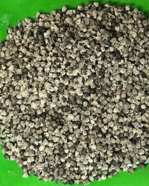 Chaste tree berry (vitex)