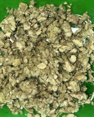 Mullein