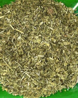 Nettle