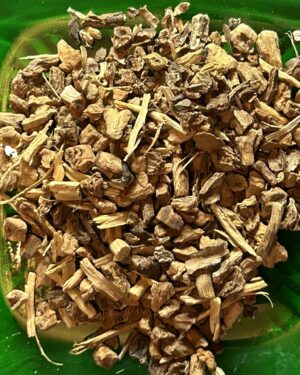 Sarsaparilla