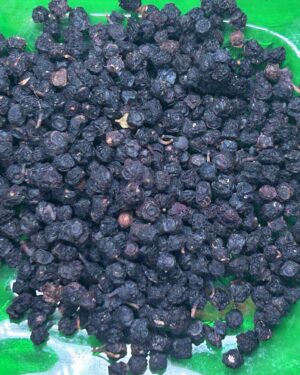 Bilberry Fruit