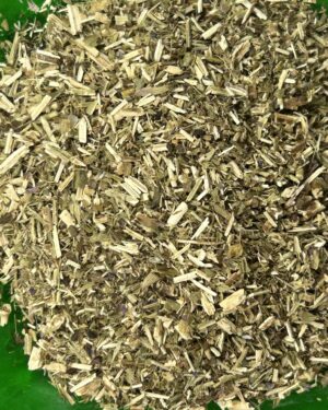 Hyssop