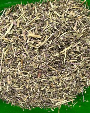 Pennyroyal